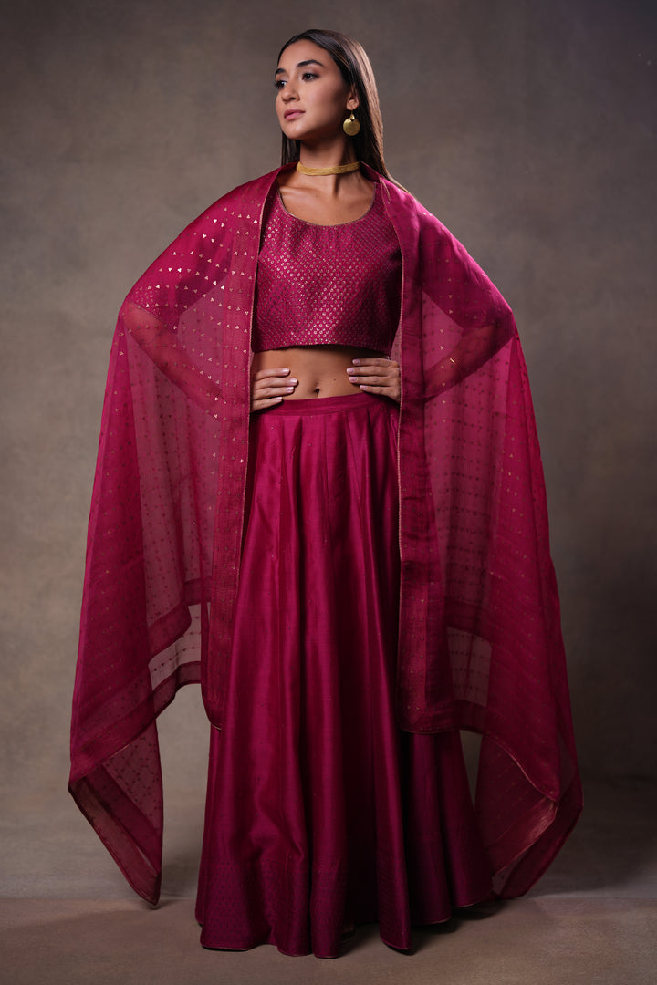 Magenta Hand Embroidered Chanderi Lehenga Set with Blouse & Dupatta
