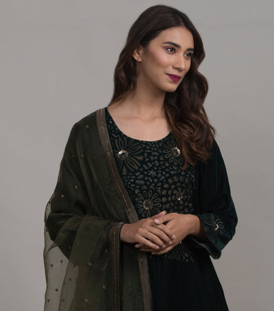 Olive Organza Dupatta