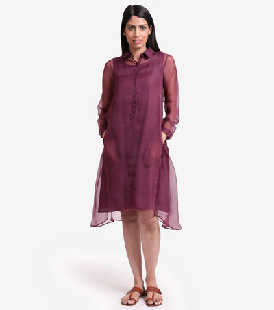 Purple sheer organza dress