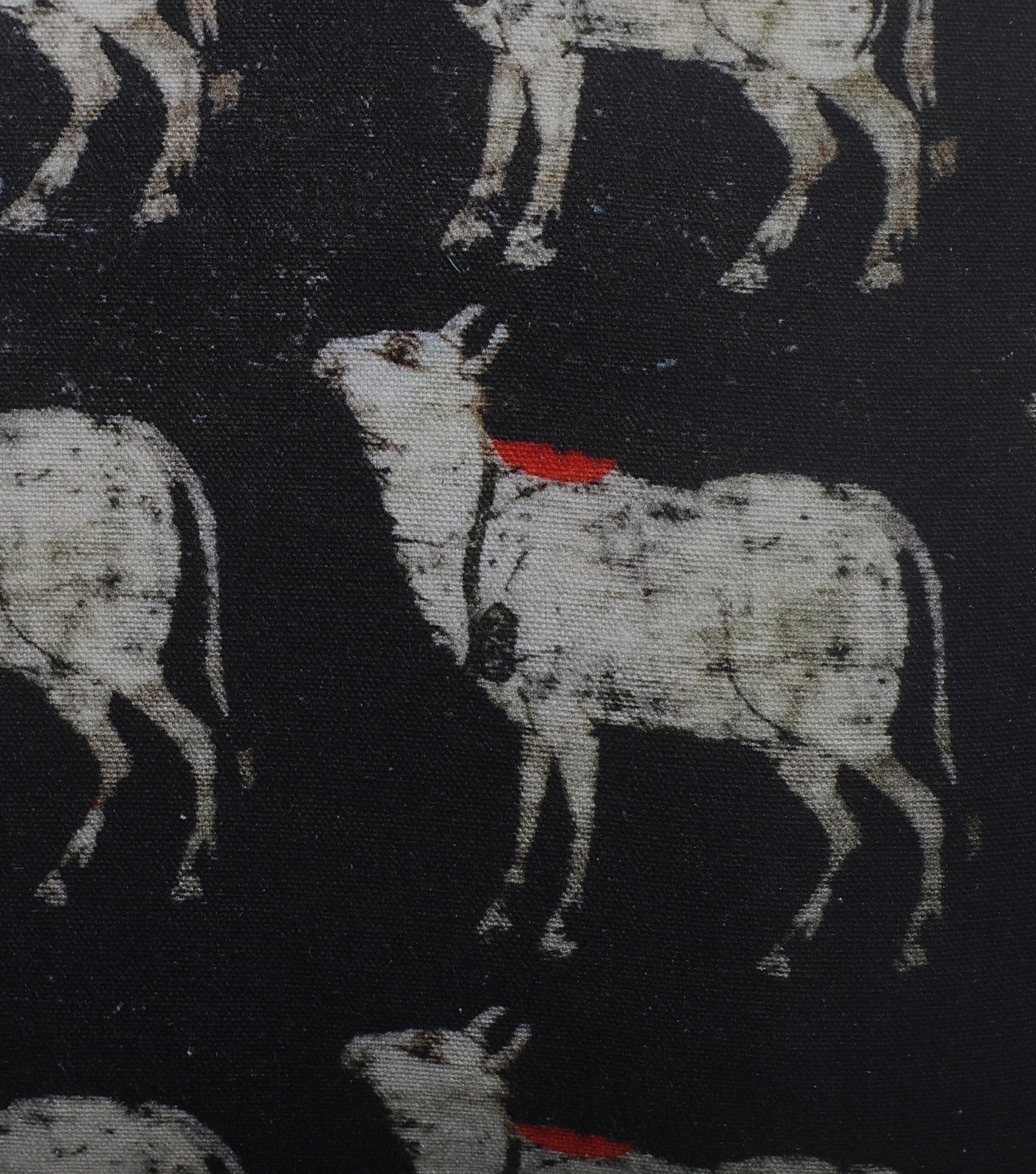 Black Cow Printed Cushion Cover