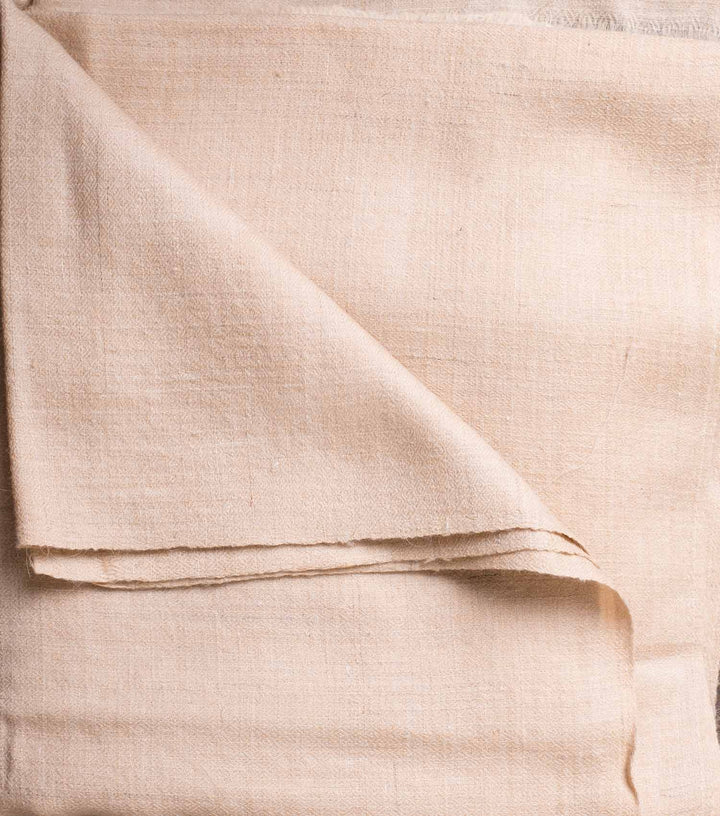 Pashmina Shawl
